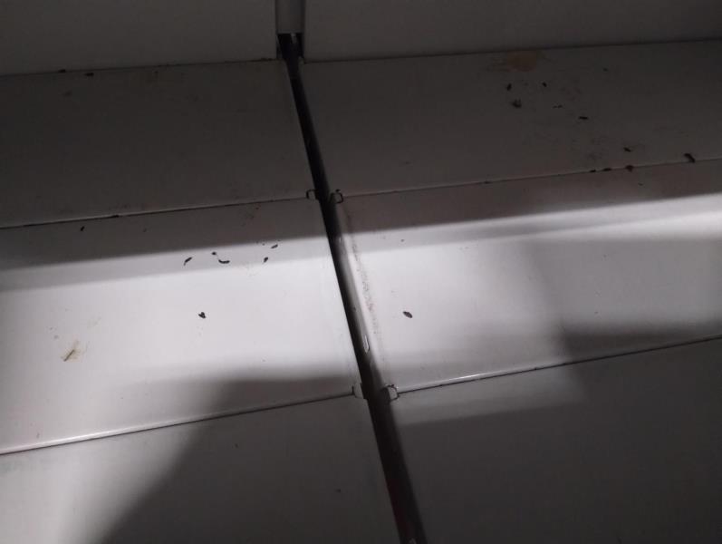 Ilustrační fotografie č. 15