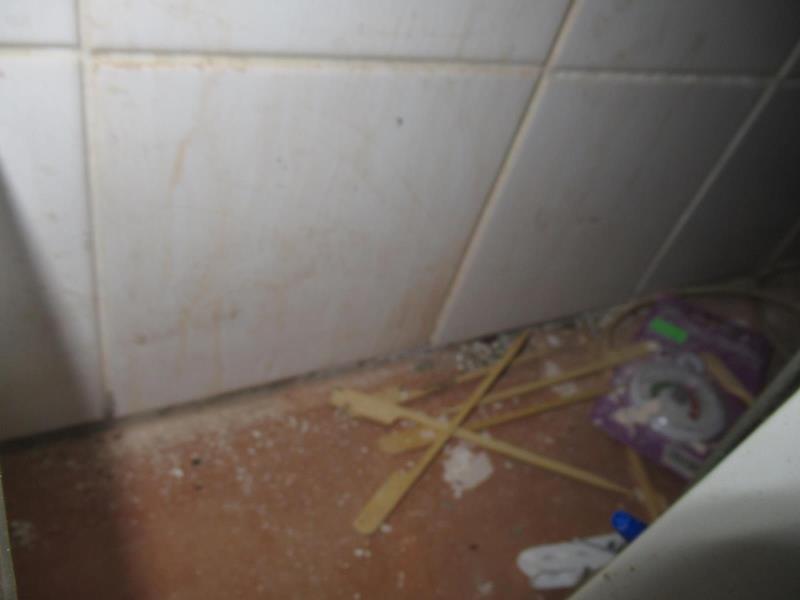 Ilustrační fotografie č. 6