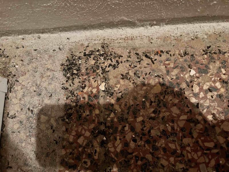 Ilustrační fotografie č. 10