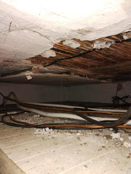 Ilustrační fotografie č. 9