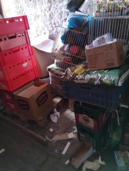 Ilustrační fotografie č. 19