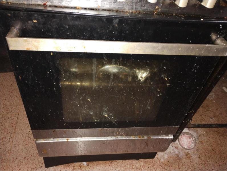 Ilustrační fotografie č. 5