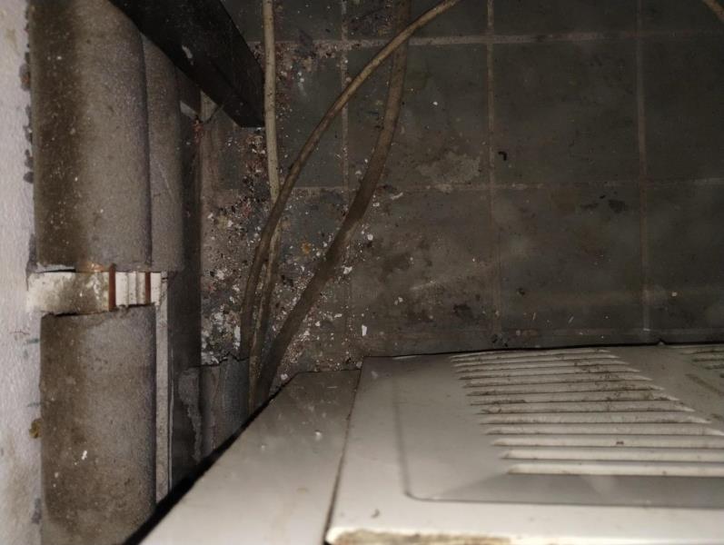 Ilustrační fotografie č. 14