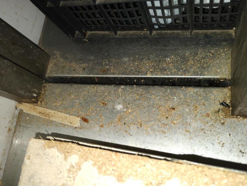 Ilustrační fotografie č. 5