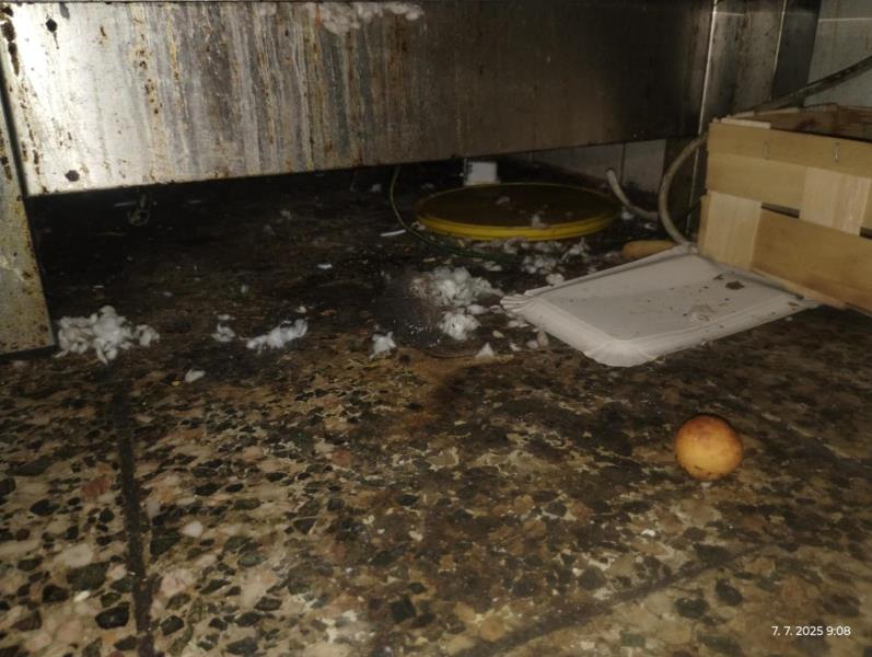 Ilustrační fotografie č. 9