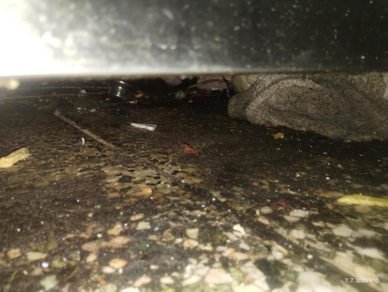 Ilustrační fotografie č. 13