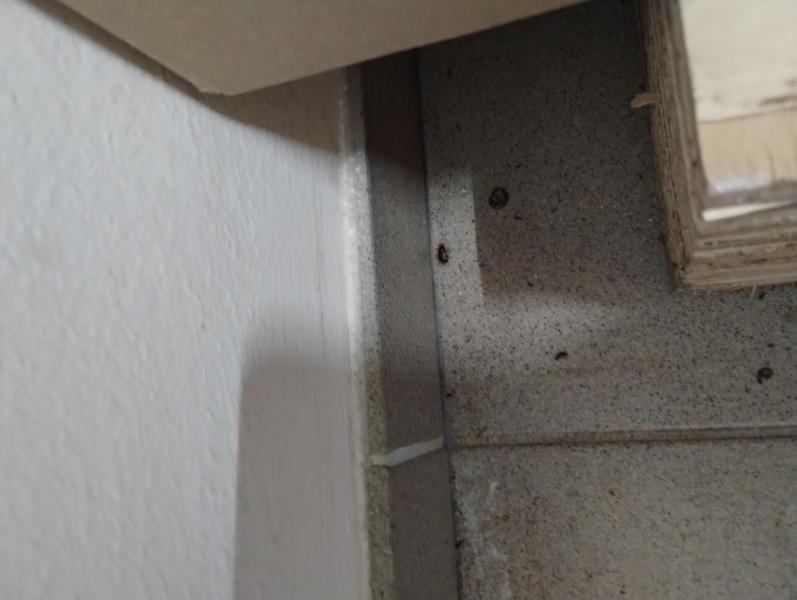 Ilustrační fotografie č. 10