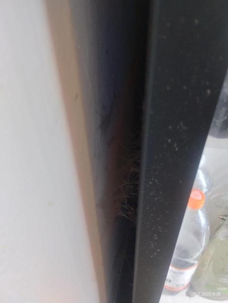 Ilustrační fotografie č. 22