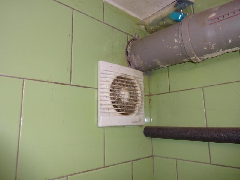 Illustrative photo no. 6