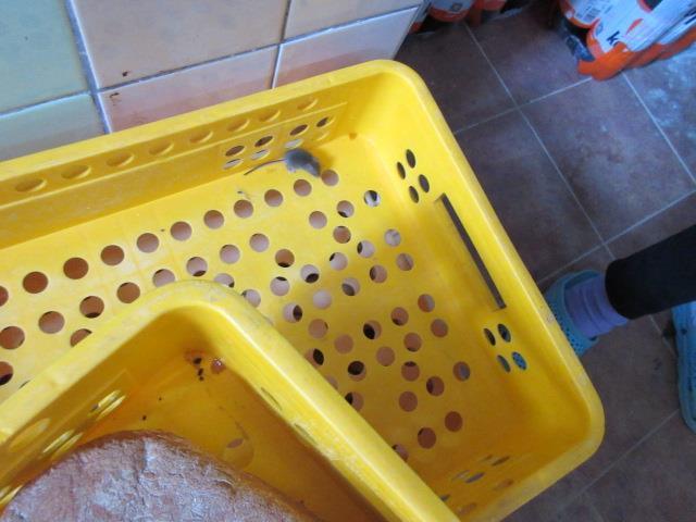 Ilustrační fotografie č. 3