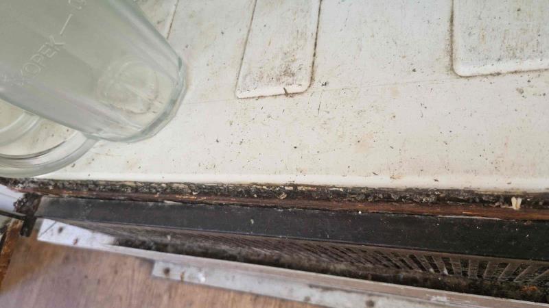 Ilustrační fotografie č. 16