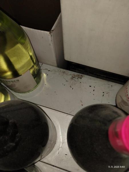 Ilustrační fotografie č. 14