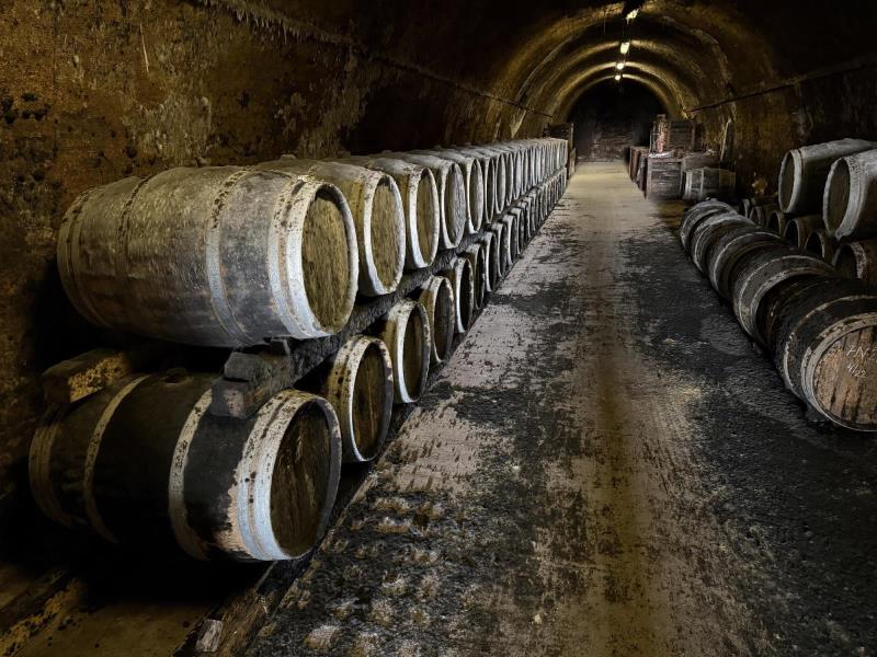 Ilustrační fotografie č. 2