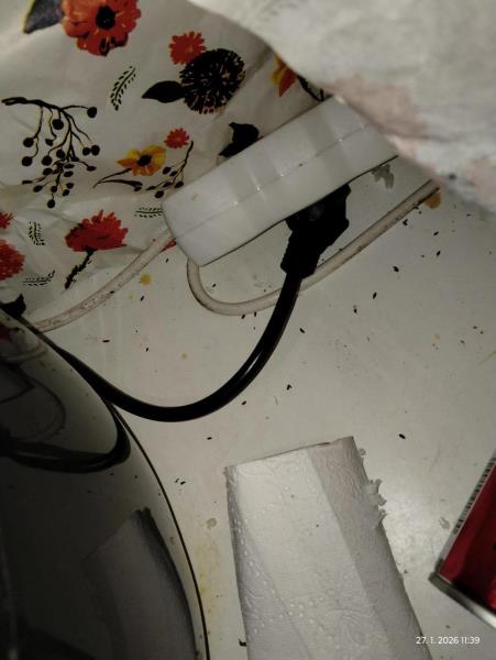 Ilustrační fotografie č. 16