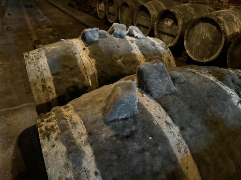 Ilustrační fotografie č. 9