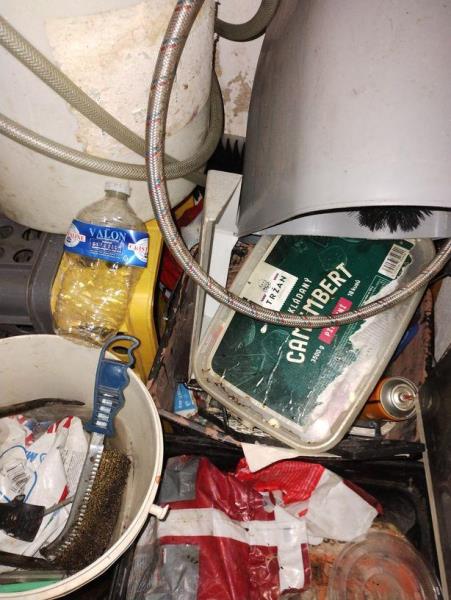 Ilustrační fotografie č. 3