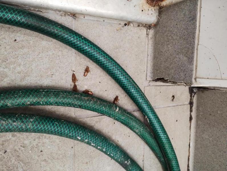 Ilustrační fotografie č. 9