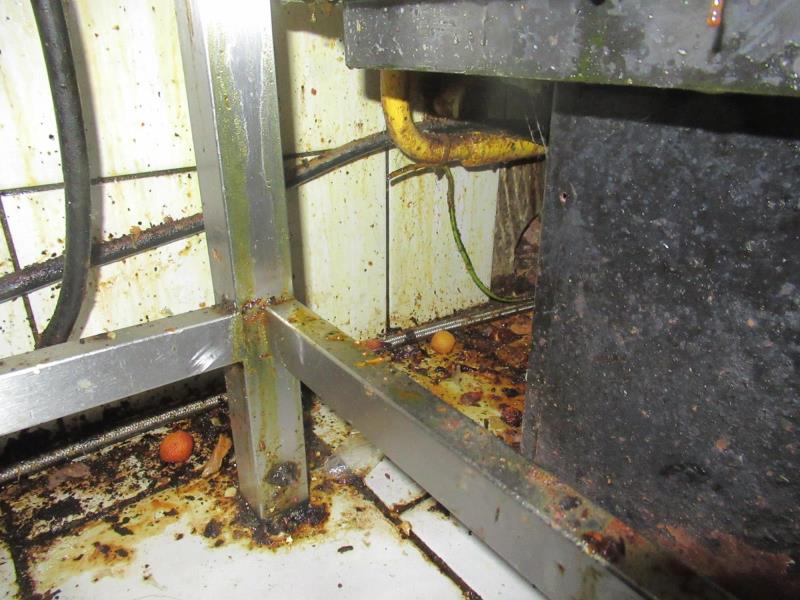 Ilustrační fotografie č. 4