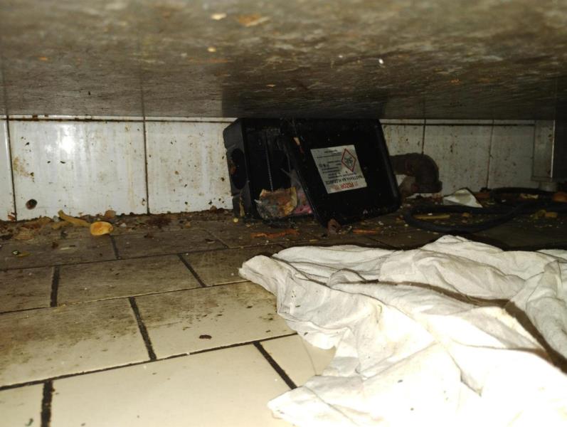 Ilustrační fotografie č. 8