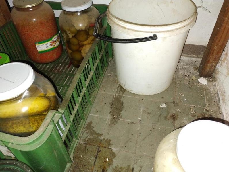 Ilustrační fotografie č. 4