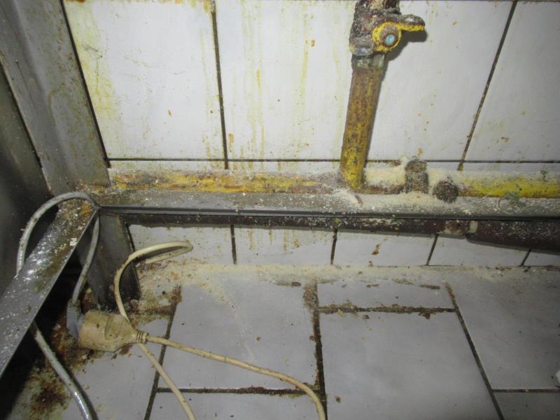 Ilustrační fotografie č. 3