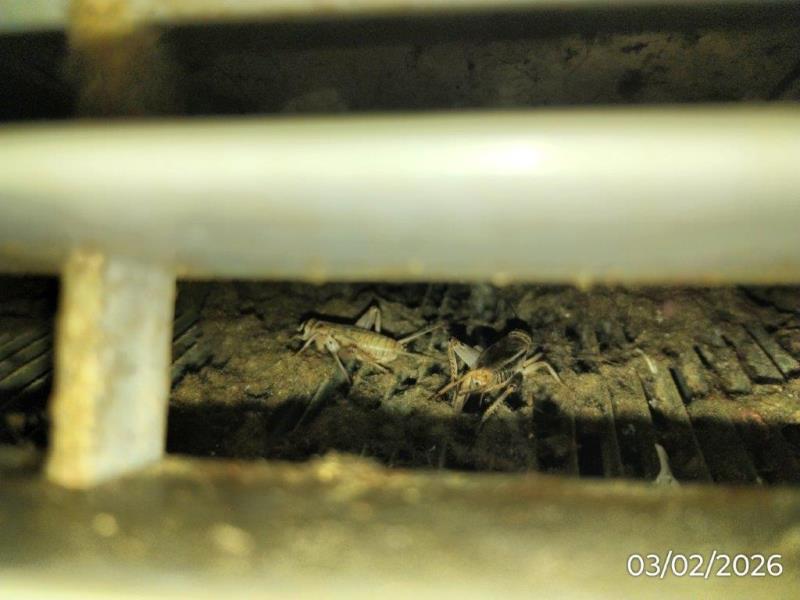 Ilustrační fotografie č. 23