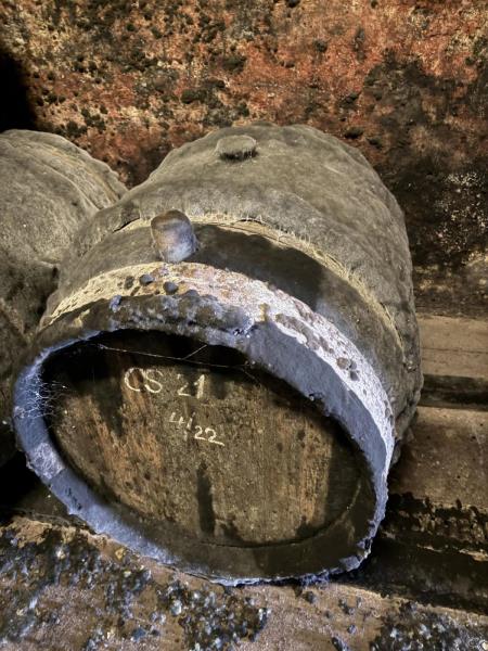 Ilustrační fotografie č. 14