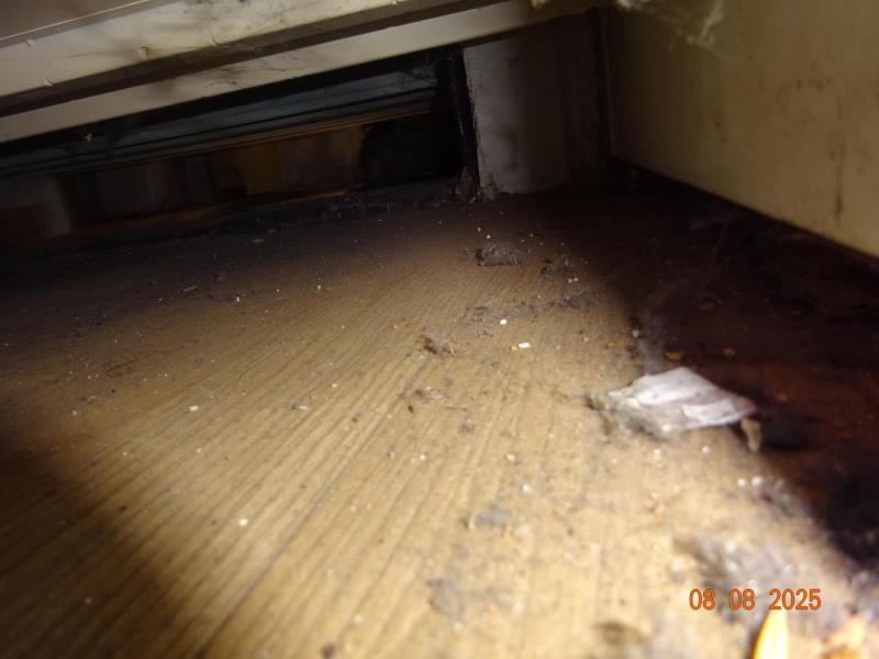 Ilustrační fotografie č. 9