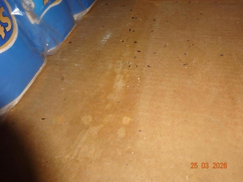 Ilustrační fotografie č. 4