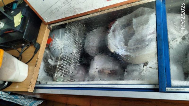 Illustrative photo no. 7