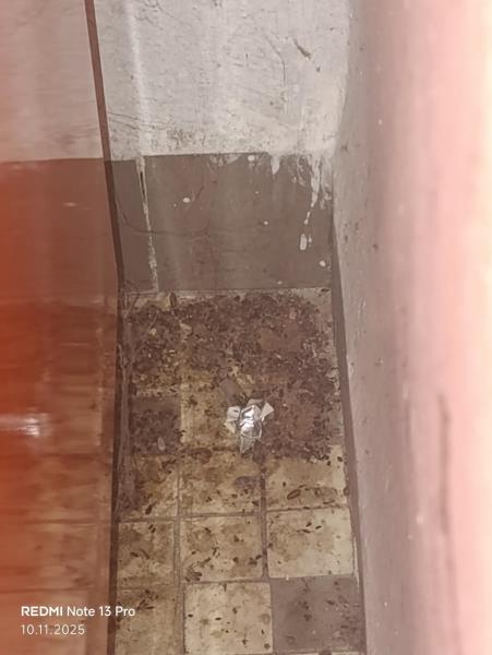 Ilustrační fotografie č. 12