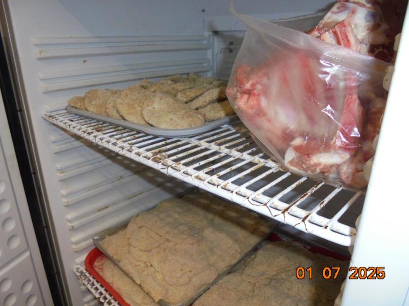 Illustrative photo no. 12