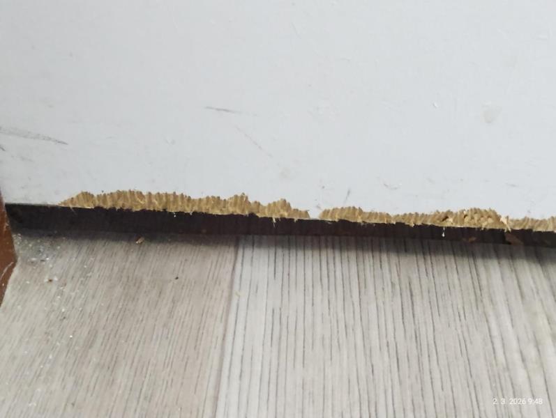 Ilustrační fotografie č. 7