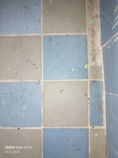 Ilustrační fotografie č. 7