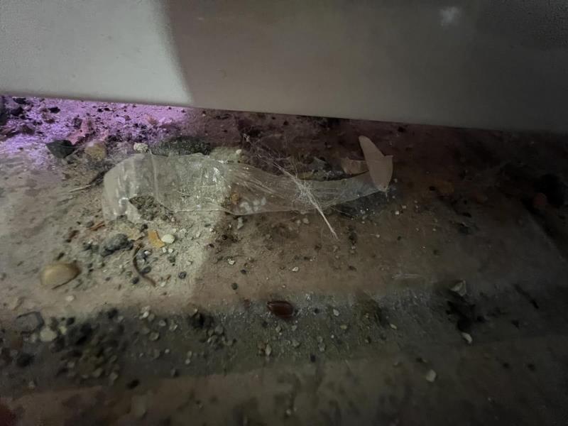 Ilustrační fotografie č. 8