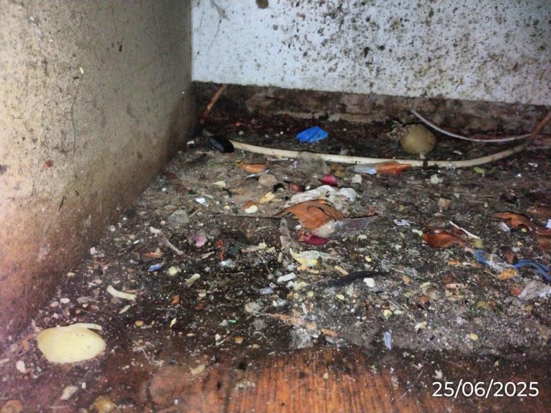 Ilustrační fotografie č. 7