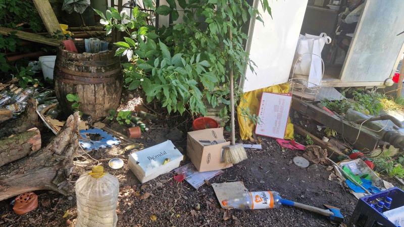 Ilustrační fotografie č. 4