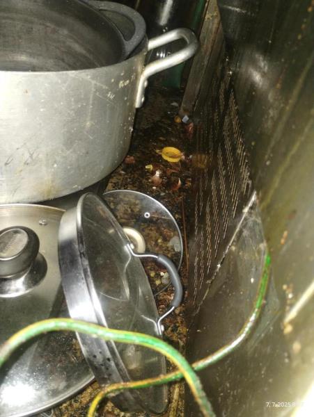 Ilustrační fotografie č. 7