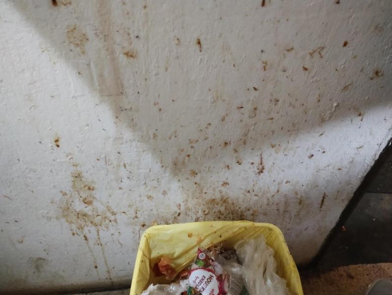 Ilustrační fotografie č. 9