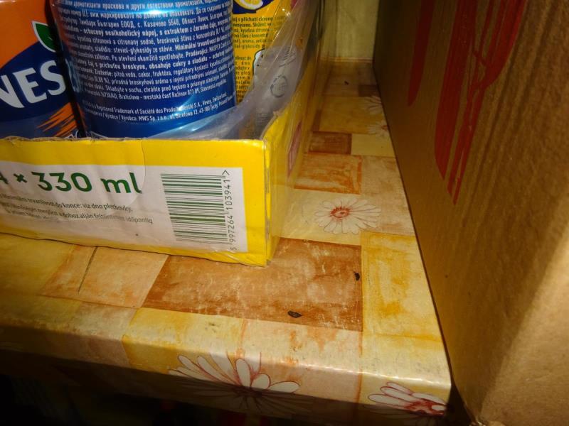 Ilustrační fotografie č. 10