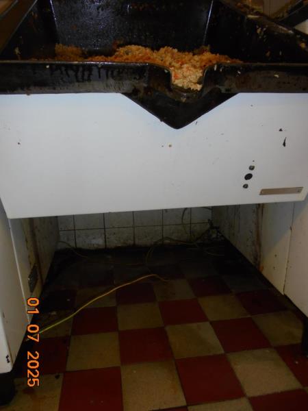 Illustrative photo no. 8