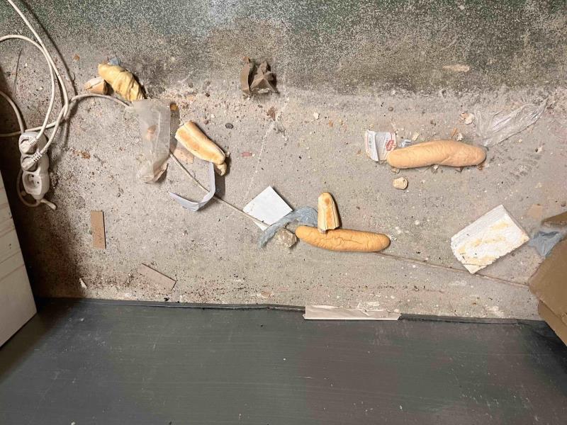 Ilustrační fotografie č. 12