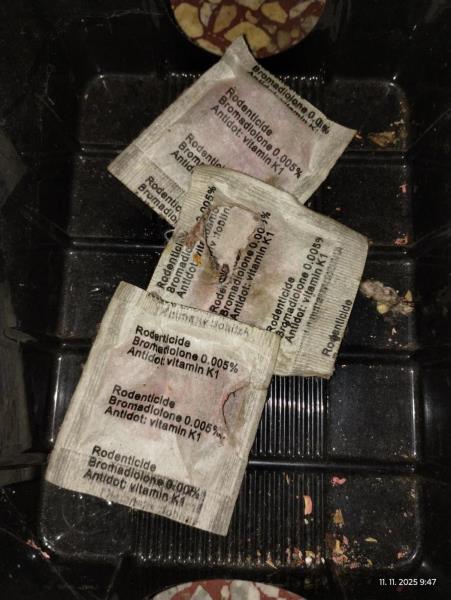 Ilustrační fotografie č. 15