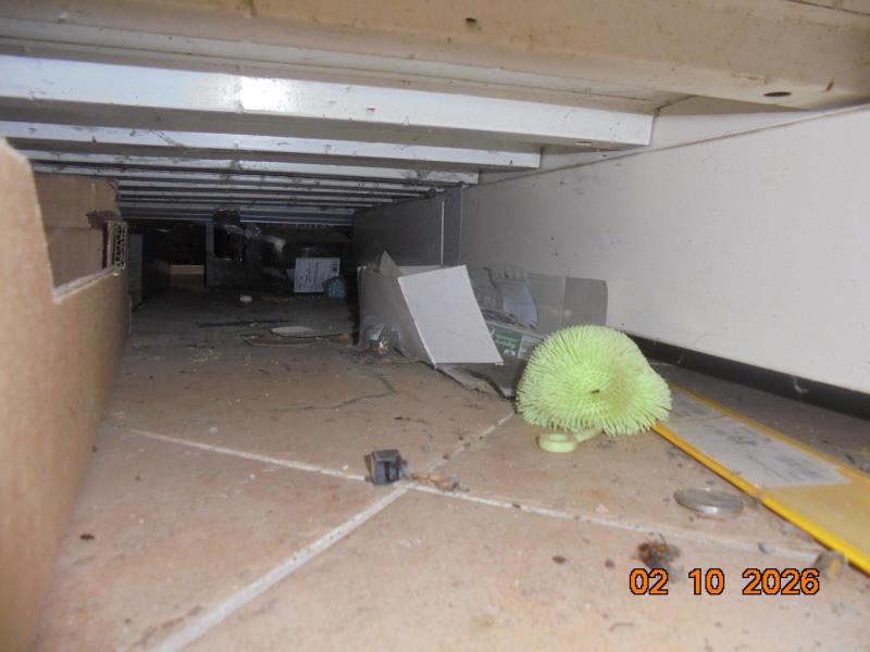 Ilustrační fotografie č. 3