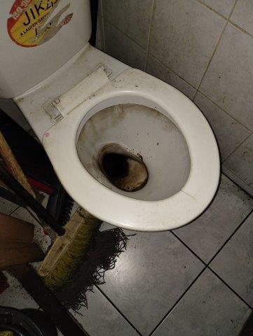 Illustrative photo no. 8