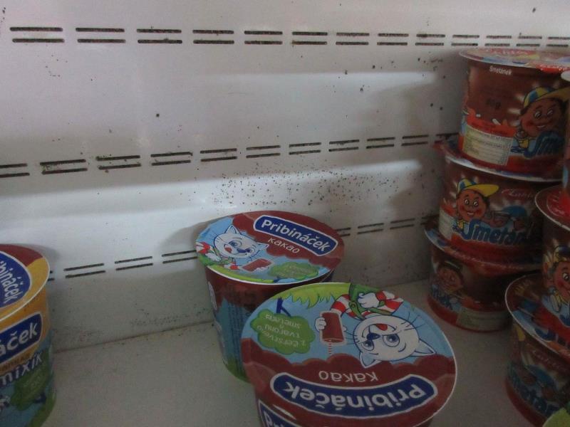 Ilustrační fotografie č. 3