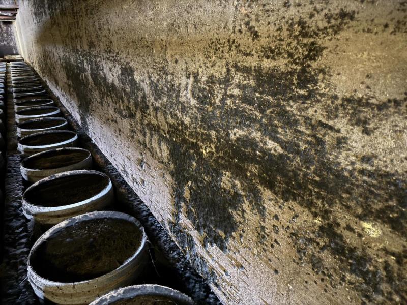 Ilustrační fotografie č. 17