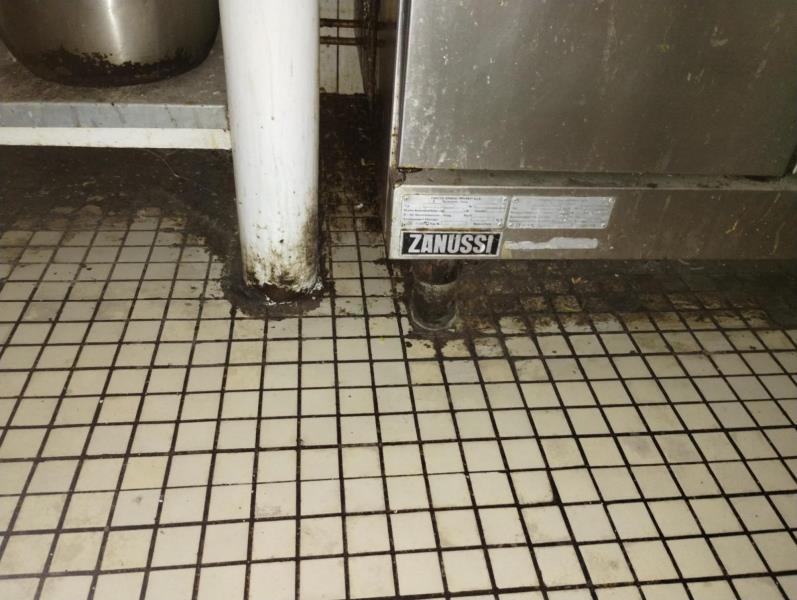 Ilustrační fotografie č. 10