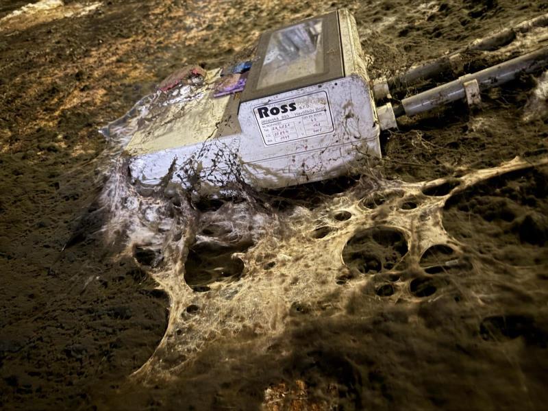 Ilustrační fotografie č. 26