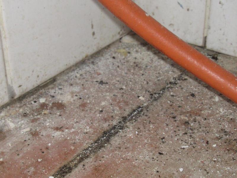 Ilustrační fotografie č. 9